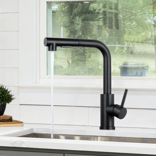 Kitchen Faucet