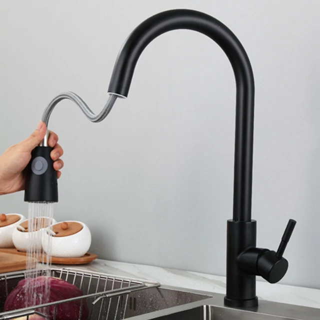 Kitchen Faucet with Sprayer